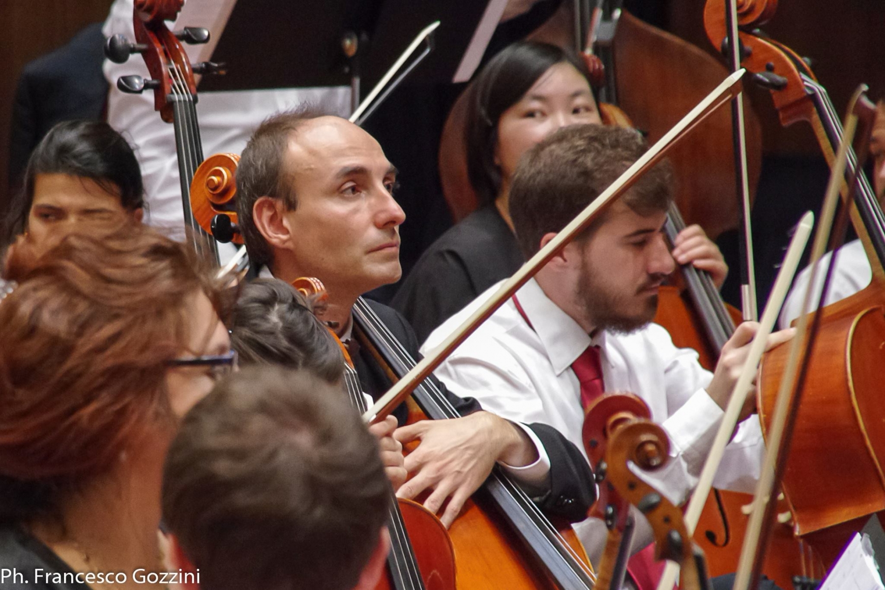 Orchestrali